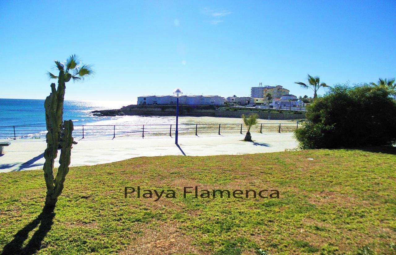 Apartment With Large Roof Solarium Dehesa de Campoamor  Ngoại thất bức ảnh