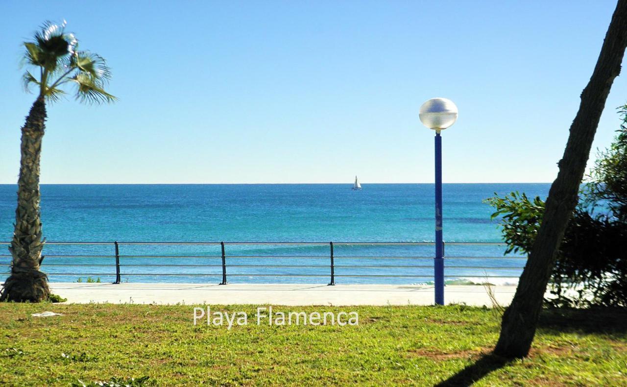 Apartment With Large Roof Solarium Dehesa de Campoamor  Ngoại thất bức ảnh